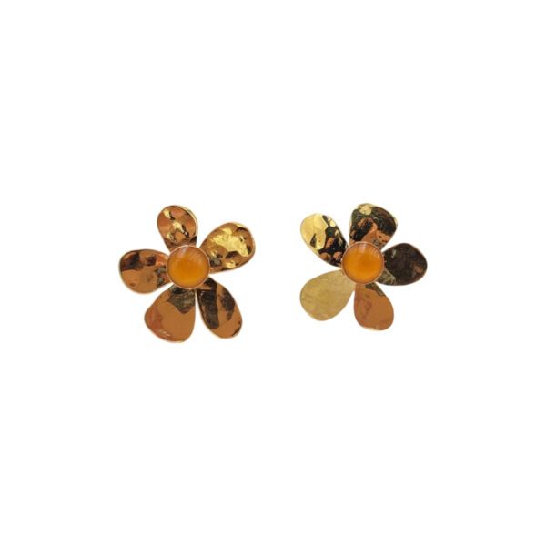 Puces couleur ocre Sienne